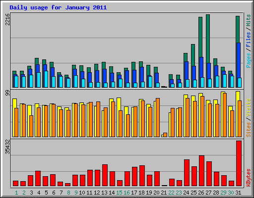 Daily usage for January 2011