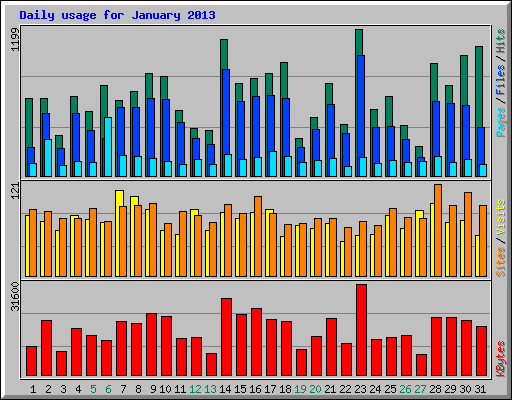 Daily usage for January 2013