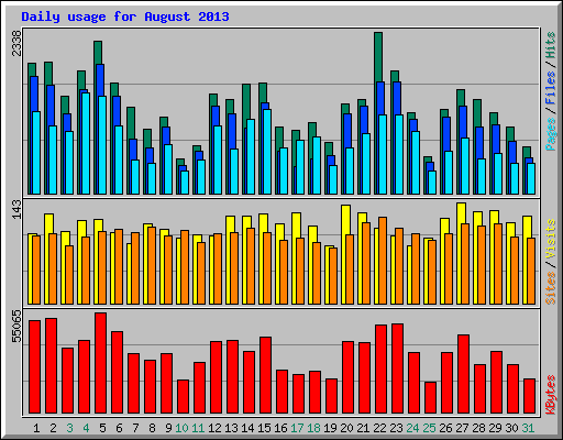 Daily usage for August 2013