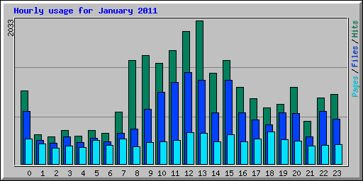 Hourly usage for January 2011