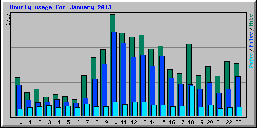 Hourly usage for January 2013