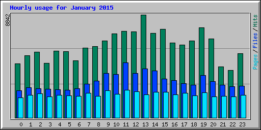 Hourly usage for January 2015
