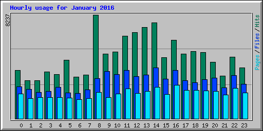 Hourly usage for January 2016