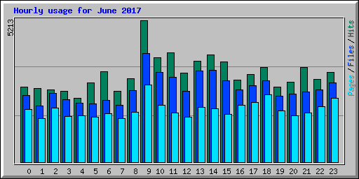 Hourly usage for June 2017